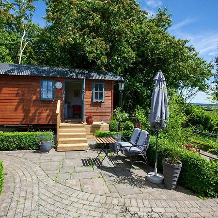 Hawthorn Hut Kilkenny Glamping At Jenkinstown House Hotel Jenkinstown Park Екстериор снимка