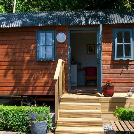 Hawthorn Hut Kilkenny Glamping At Jenkinstown House Hotel Jenkinstown Park Екстериор снимка